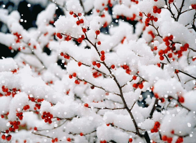 images/2/2021/11/Ddm0PyzMaZb3b0MV6vEMr0L0mpdBHV.gif