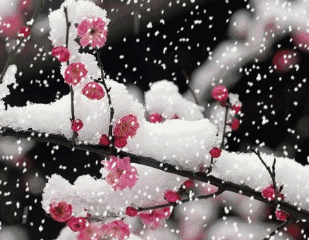 images/2/2021/11/Idd7i73778WWu38zPnuW884dQN4fAW.gif