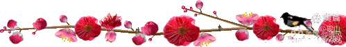 images/2/2021/11/VxC7Zb1BTe3zEEz2BCr226o21rJERb.gif