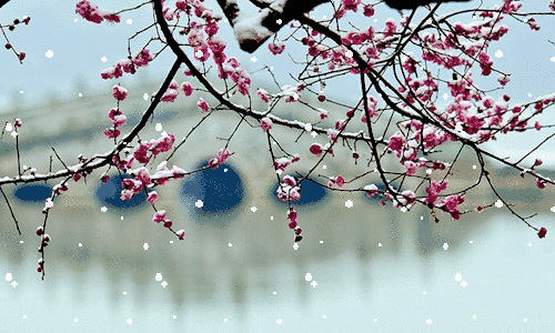 images/2/2021/11/gCH77VIS6oP7sQOwqQP0qsihIrIo8Q.gif