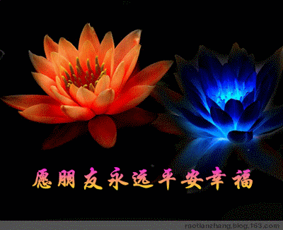 images/2/2021/11/sn70hU0iJqsN0hjknU7k91qz0hDN7k.gif