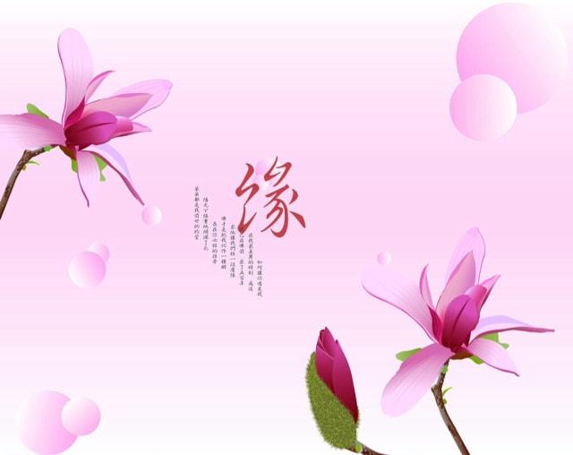 images/2/2022/03/HbTFZO48zQD9Kv8fmTBgBQ5VTnGNDv.jpeg