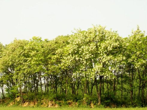 images/2/2022/04/t9p6PDc449CBC9F18v73pP8c71o8O1.jpeg