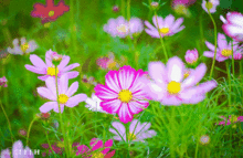 images/2/2022/05/oUxRu3hiUj33aOw3O3e3joOREzNWOA.gif