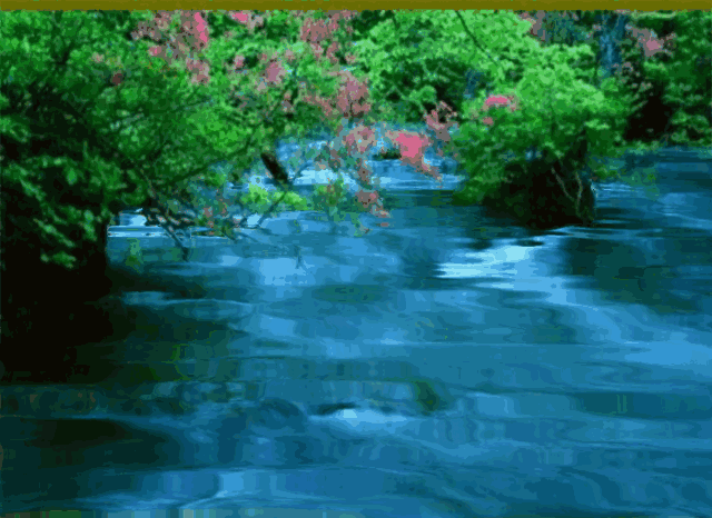 images/2/2022/05/p7pX0Z7ske7oZ0pQJex7Na0D45O4yD.gif