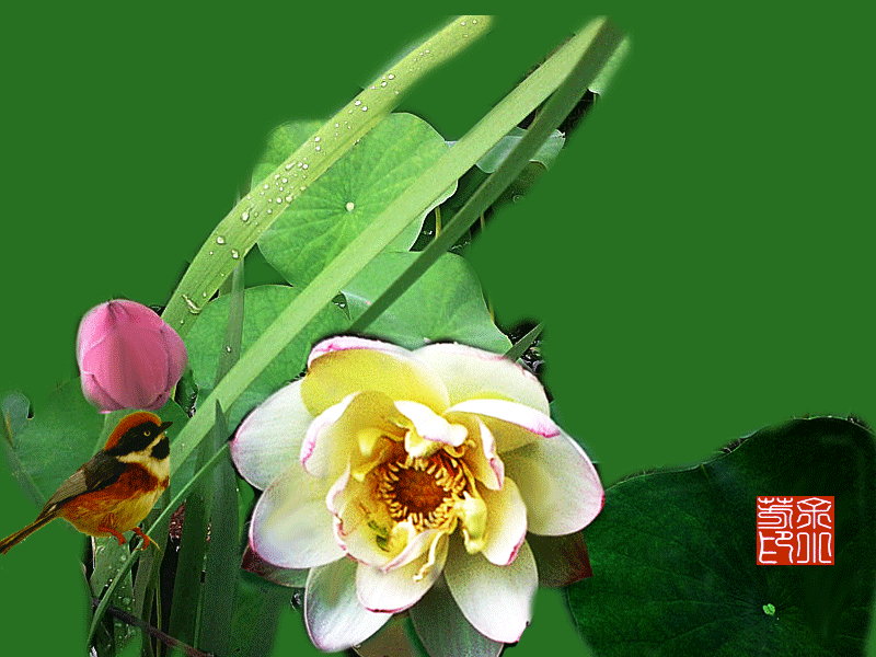images/2/2022/06/JoPwV40oj3jW34yv1V14wS5979joYZ.gif