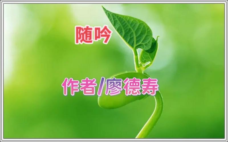 images/2/2022/06/UDKMFTmKiNi2ipVkzNqUQE2JVNJt4X.jpg