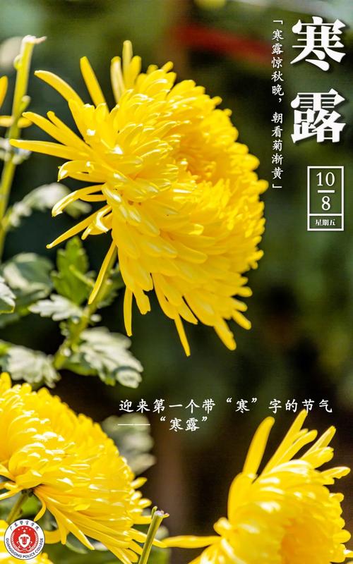 images/2/2022/10/xTbd1G9O1LZy799sK1D7Oe7KGS7Z7Z.jpeg