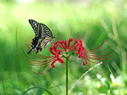 images/2/2022/11/tSUrz0iY2muiPSqizsX8Pi62RRpus9.jpg
