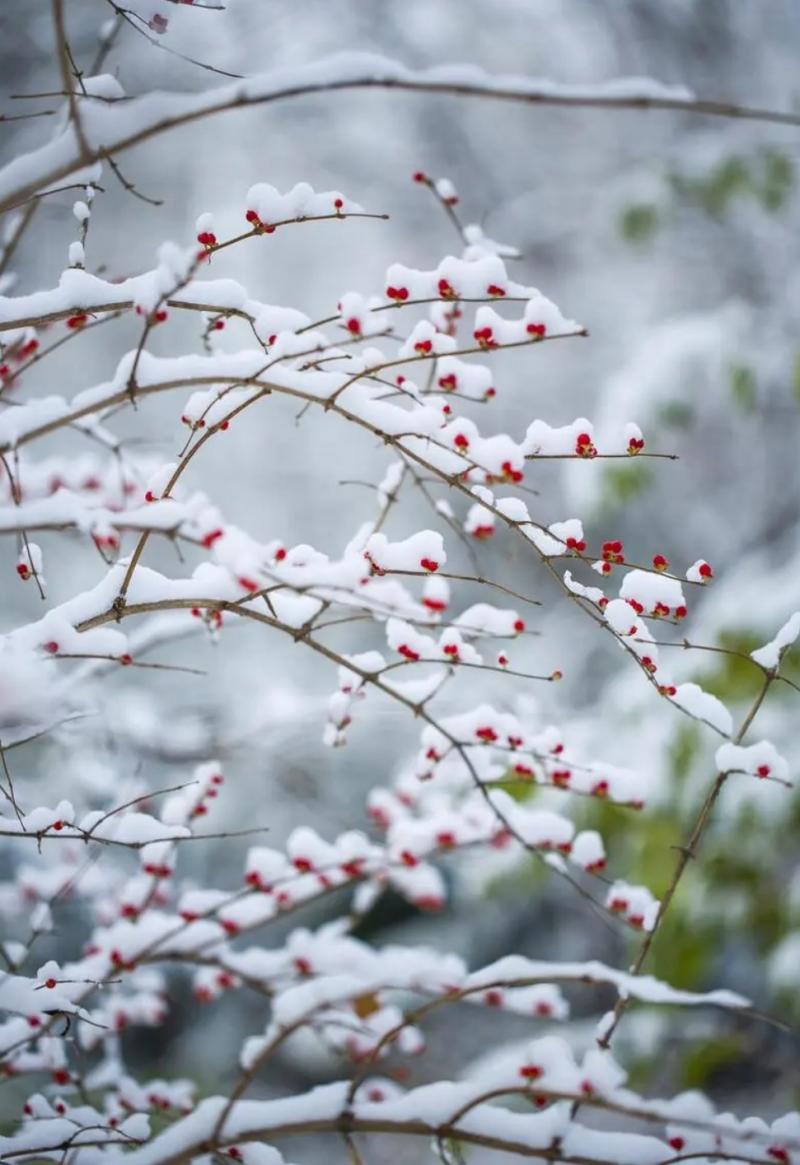 images/2/2023/11/yy8ml0mT58ee2tfZTtm53LEofMEt3Z.jpg