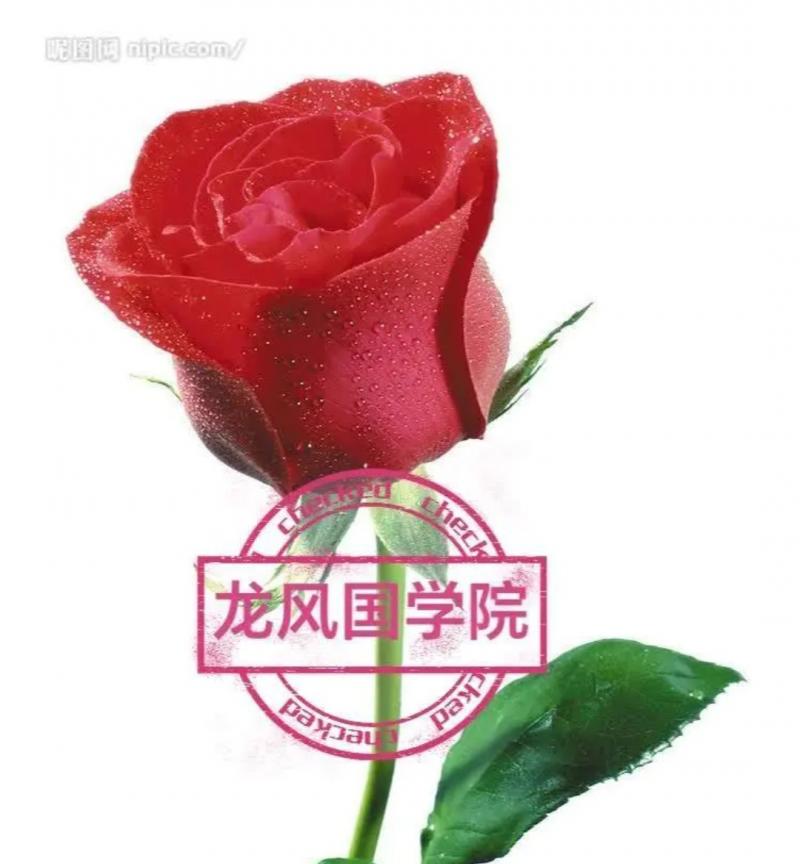 images/2/2023/11/zbcBoGbdIbGv5zbBvMVO7EhePEG4cD.jpg