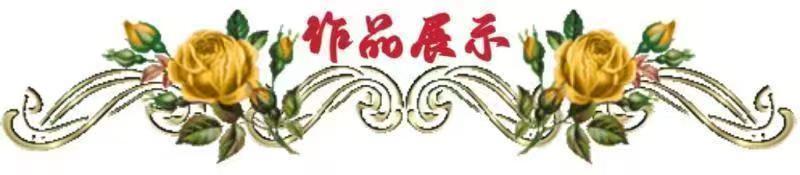 mmexport9a9cfecbd7ffd3234ff465cdc28d9e7e_1739845572062.jpeg