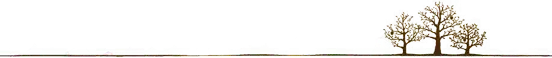 mmexportd34701e0399ec5d332571b84838e1a75_1745563868493.jpeg