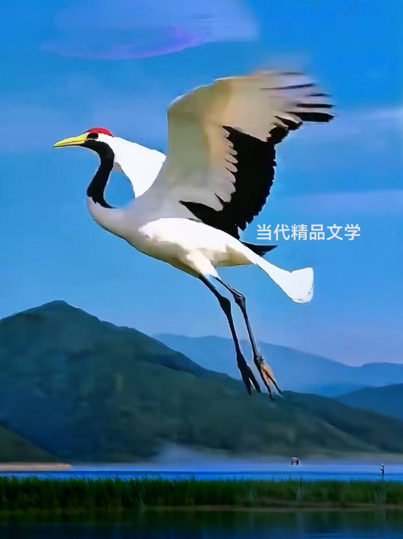 images/2/2025/06/dnlgCgvvjGvEBKWWGgQkvn9t5CGNn7.jpg