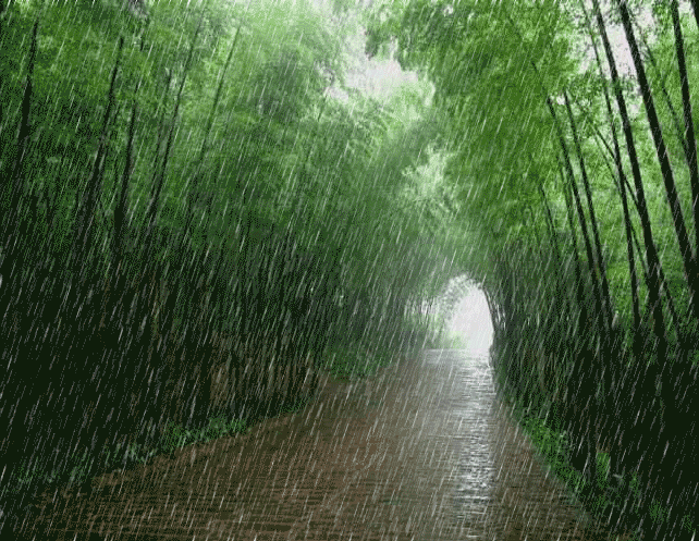 1747085054121.gif